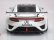 画像4: TSM MODEL ホンダ アキュラNSX GT3 2016 NY Auto Show Presentation WHITE