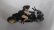 画像6: CM-MODEL MV AGUSTA Super Veloce800 with show girl BLACK