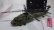 画像4: ハイテック K170 UH-60L ブラックホーク RTF
