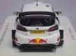 画像4: スパーク フォード フィエスタ WRC Pre-test Rally Monte Carlo 2018 WHITE